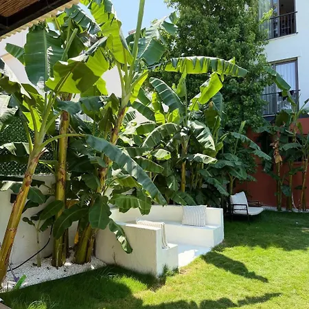 Aden Suits Teras * 费特希耶